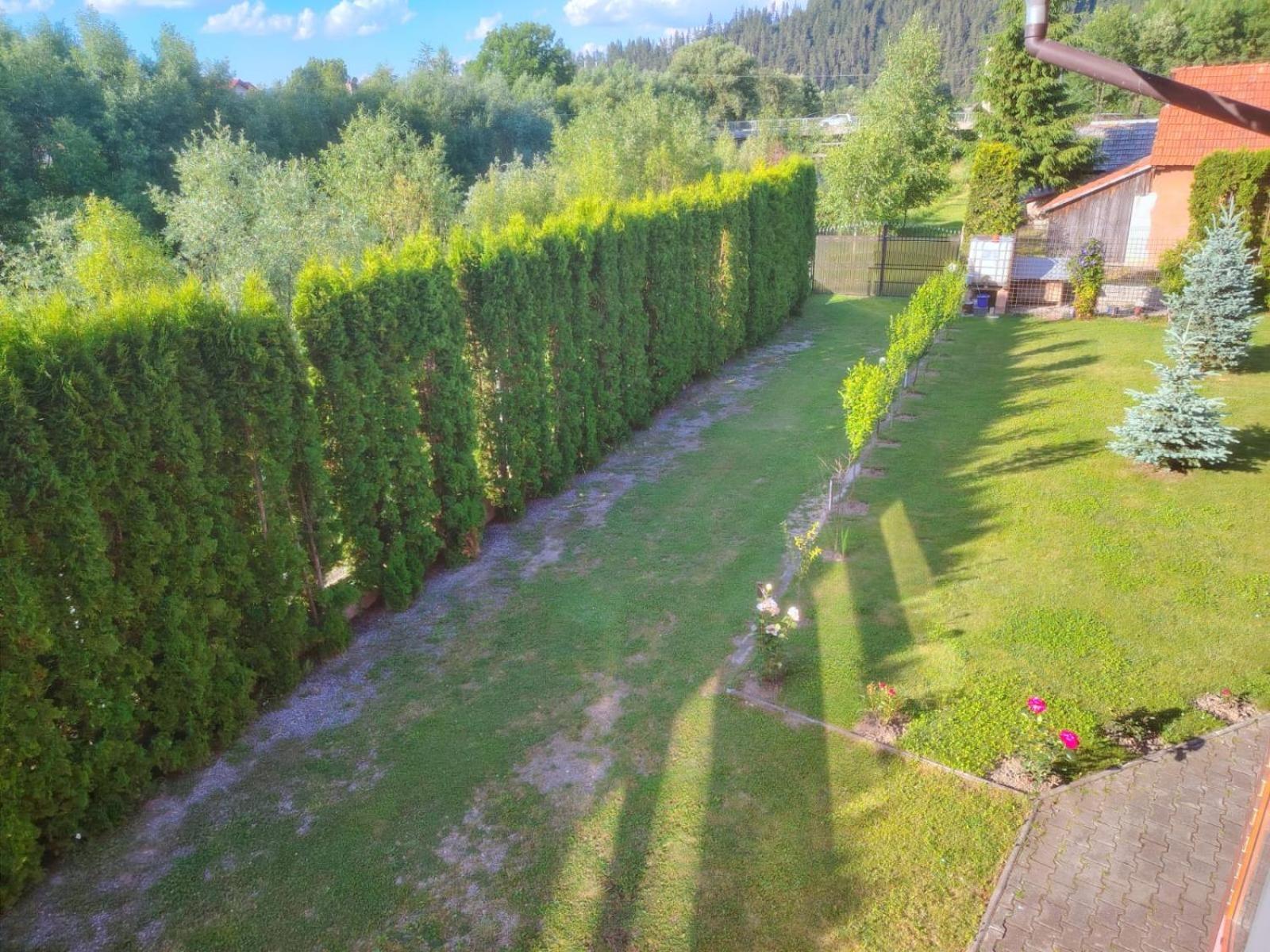 Pensiunea Floro Intorsura Buzaului Exterior photo
